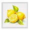 Stupell Industries Lemon Harvest Fruits Framed Giclee Wall Art Design by Andrea Haase